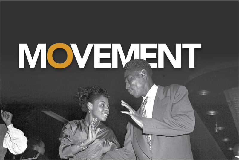 Movement Basal Cover Preview