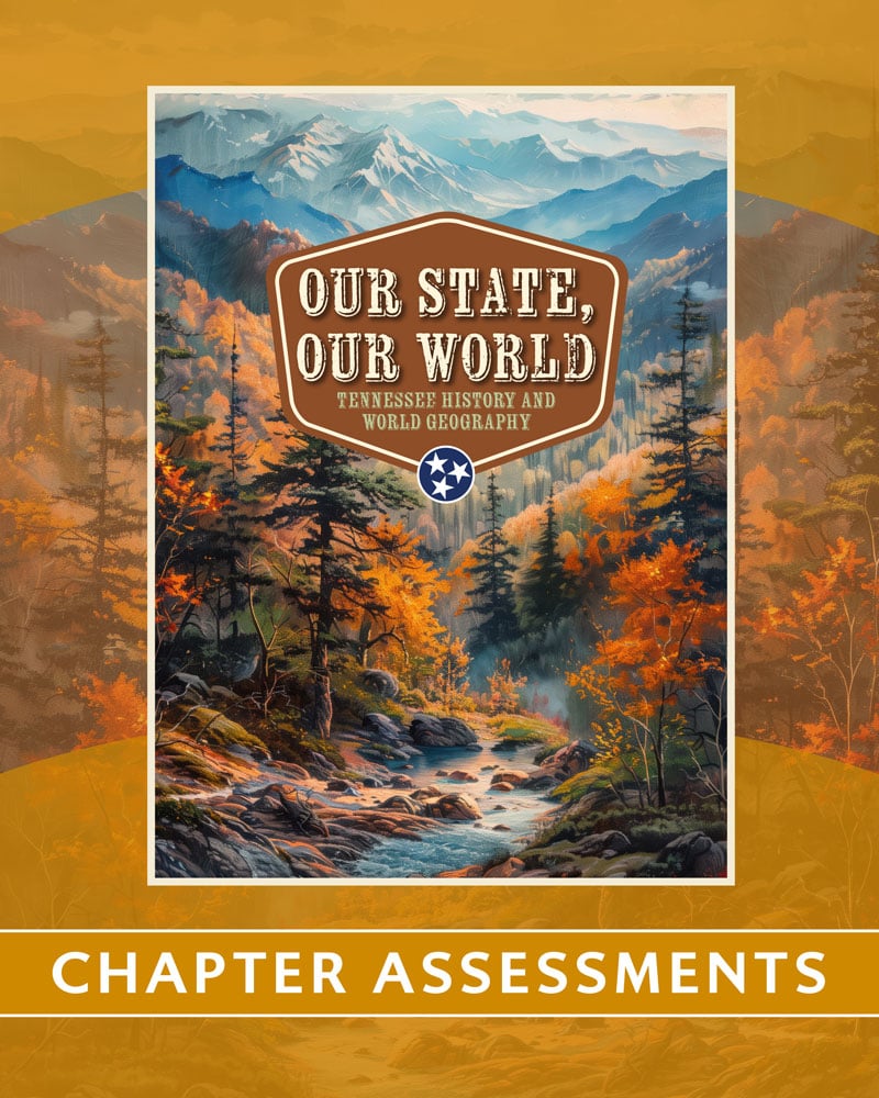 Chapter Assessments